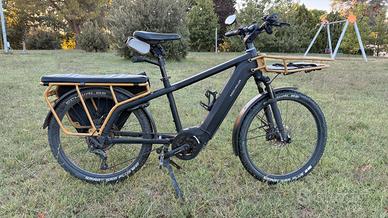 Riese & Müller Multicharger GT Touring – Bosch 750