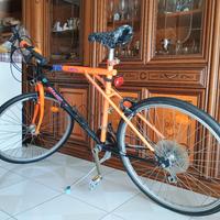 bici Mountain bike 