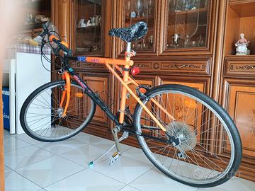 bici Mountain bike 