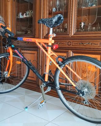 bici Mountain bike 