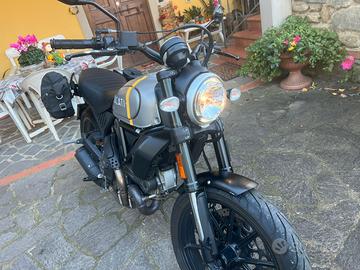 Ducati scrambler 800 icon yellow