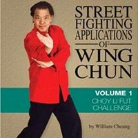 DVD kung fu wing chun