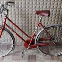 Bicicicletta "Vicini" da passeggio unisex