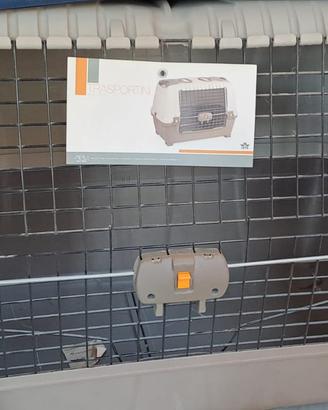 Kennel