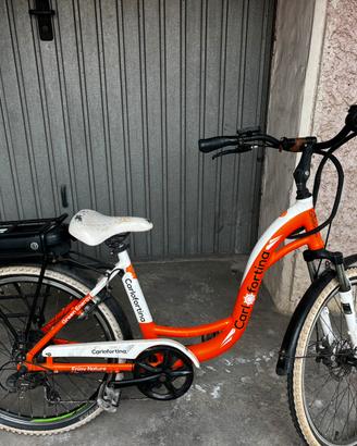 Bicicletta elettrica