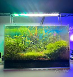Acquario Blau Aquascaping - pronto all’uso