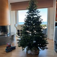 Albero di natale Everland