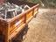 Immagine 6