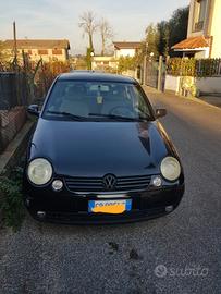 lupo 1.4