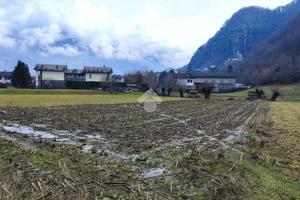 TER. RESIDENZIALE A FORCOLA