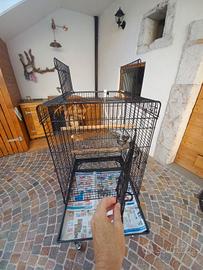 gabbia grande  per pappagallo 