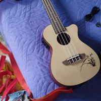 ukulele concerto amplificato