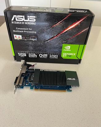 Scheda grafica ASUS GEOFORCE GT 710