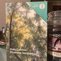 Libro “il barone rampante “ di Italo Calvino