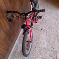 Bicicletta da bambino 