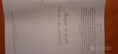 Decima flottiglia mas