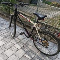 bicicletta ragazzo ruote 26