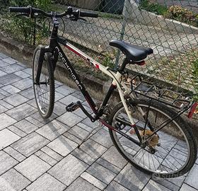 bicicletta ragazzo ruote 26