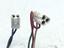 Immagine 8