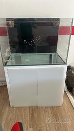 Acquario