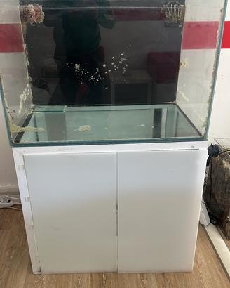 Acquario