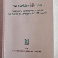 Tra pubblico e privato