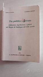 Tra pubblico e privato