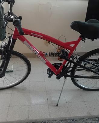 bicicletta 