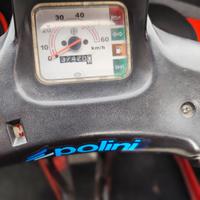 ape 50 cassone corto 