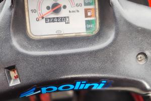 ape 50 cassone corto 