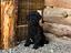 Immagine 1
