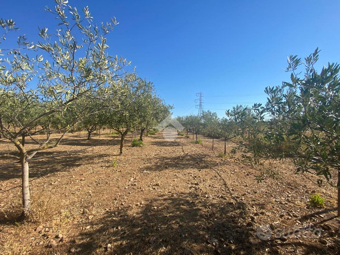 TER. AGRICOLO A CAPOTERRA - Vista 2