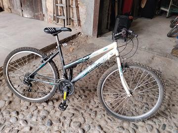 bicicletta 