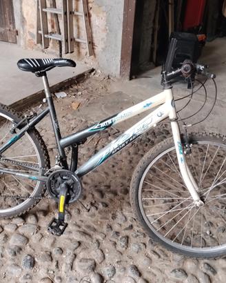 bicicletta 