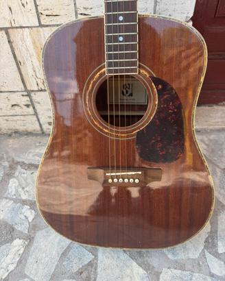 Chitarra usata