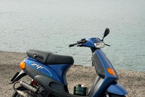 Zip piaggio