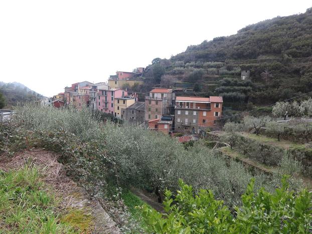 Appartamento Riomaggiore [Cod. rif 3102579VRG]