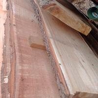 tavole di legno massello  di pioppo 