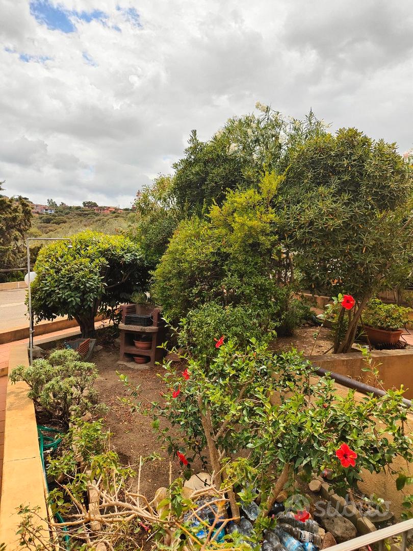 Appartamento – OT, Costa Paradiso - Altro