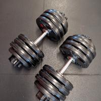 manubri palestra dischi 50mm