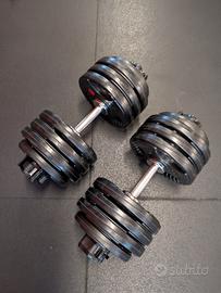 manubri palestra dischi 50mm