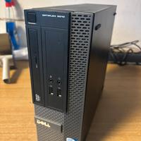 Pc desktop Optiplex 3010 con ssd 120gb