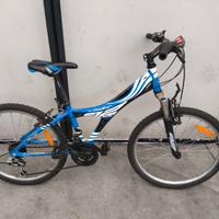 Bicicletta Montainbike ruota 24 NSR NUZZI Sport