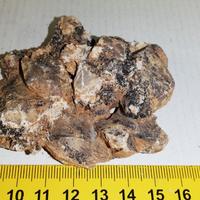 Minerale: Plattnerite su Calcite