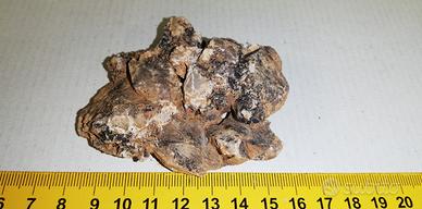 Minerale: Plattnerite su Calcite