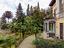 Immagine 7