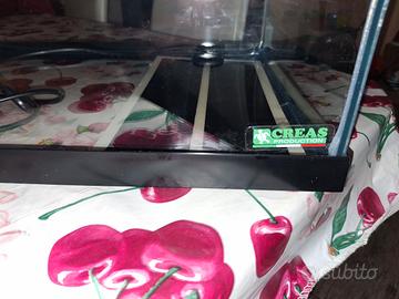 teca per le tartarughe terrario