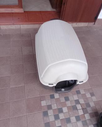 cuccia cane