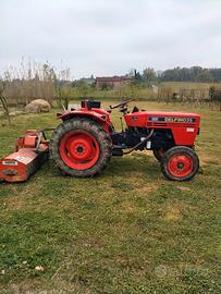 trattore e trincia erba giardino 