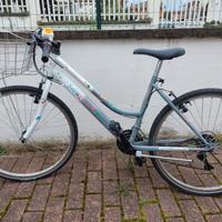 Bicicletta ragazza raggio 26